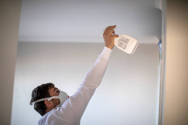 Certified Mold Removal in Clayton, NJ