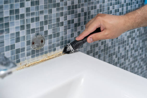 Best Black Mold Removal  in Clayton, NJ