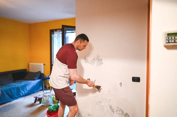 Best Mold Removal and Inspection  in Clayton, NJ